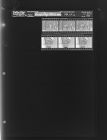 Dressing Raccoon Pelts (6 Negatives) (December 30, 1964) [Sleeve 98, Folder d, Box 34]